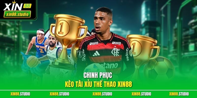 Chinh phục kèo Tài xỉu thể thao xin88 
