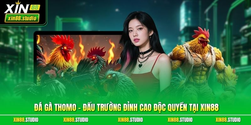 Đá Gà Thomo – Đấu Trường Đỉnh Cao Độc Quyền Tại xin88