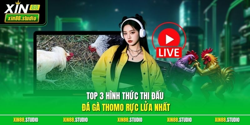 Top 3 hình thức thi đấu đá gà Thomo rực lửa nhất